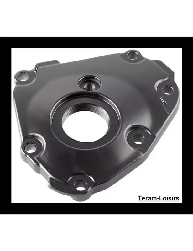 Carter Alternateur pour YAMAHA R1 de 2004 à 2008 Expédié Aujourd&rsquo;hui