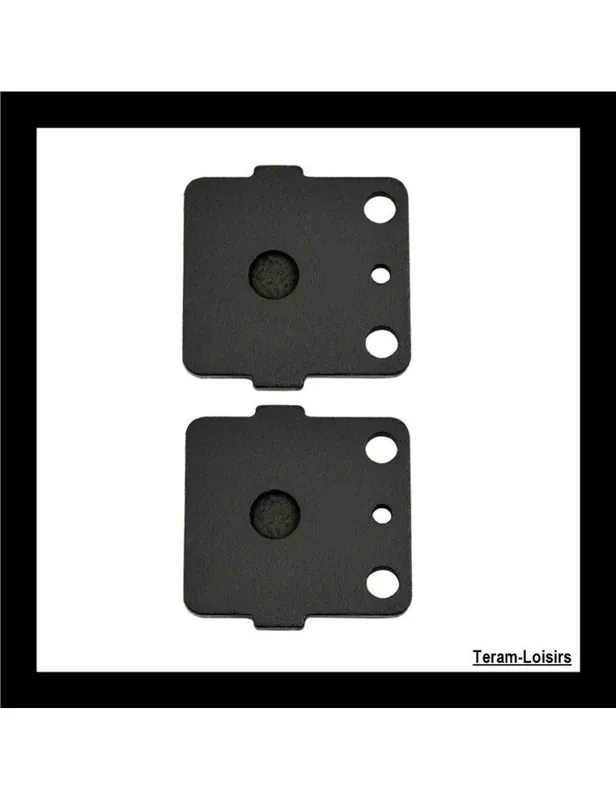 Vente Flash Plaquettes de Frein Arrière pour YAMAHA YFM 250 R (33B) de 2009 à 2011
