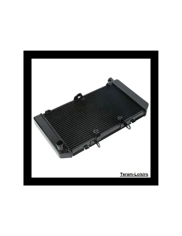 Achat Immédiat Radiateur pour Honda HORNET CBF 600 de 2008 2009 2010 2011 2012 2013 2014 2015 2016 / Type 19010-MFG-D01 / NEUF