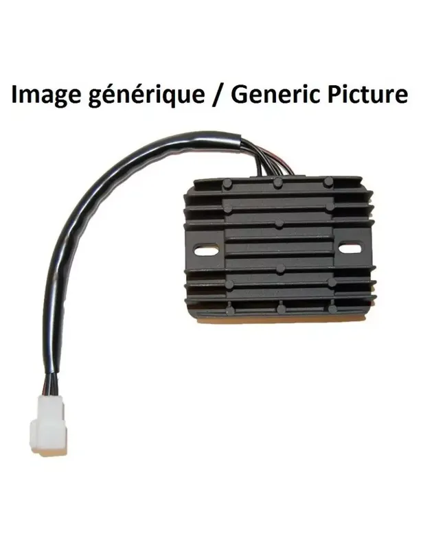 Acheter Direct Régulateur ELECTROSPORT BMW G650
