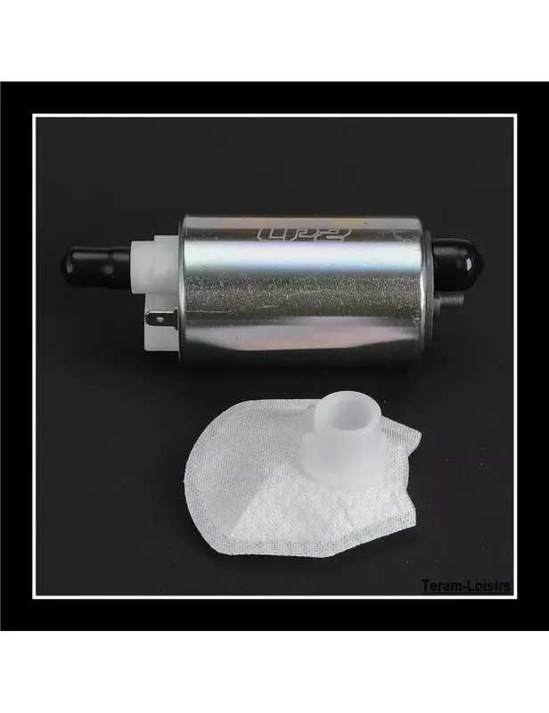 Vente Directe Pompe à Essence + Filtre pour Kawasaki EX 300 Ninja de 2013 à 2017 NEUF