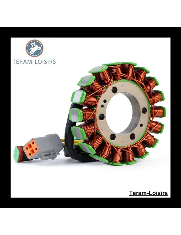 Dernière Chance Stator Alternateur pour Ski-doo GSX 800 HO PTEK Carb de 2004 2005 2006 2007 NEUF
