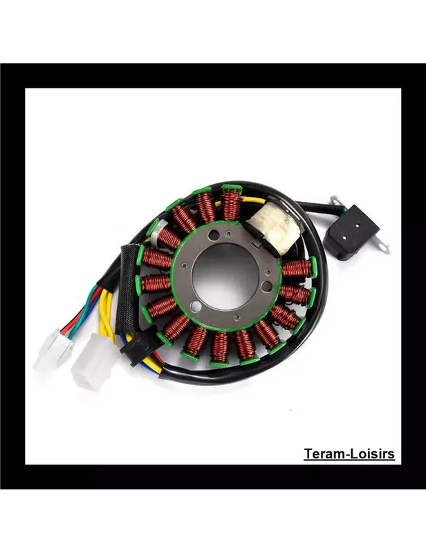 Vente Flash Stator Allumage pour Yamaha YFM 250 Bear Tracker California de 1999 et 2000