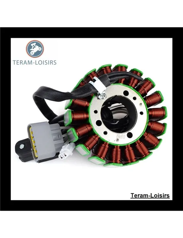 Usine Directe Stator Alternateur pour Yamaha 1000 Sidewinder L TX LE de 2017 2018 2019 2020 2021