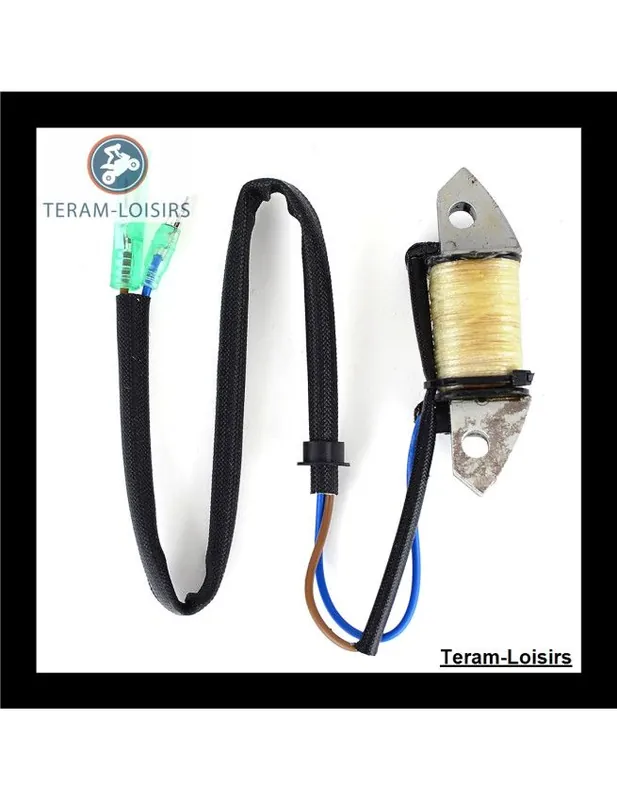 Stator Alternateur pour Yamaha 40 Y M (E/T/H/O) S / L de 2007 2008 2009 Paiement Sécurisé