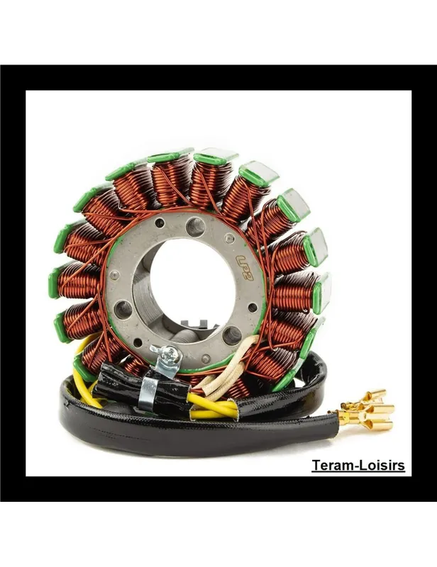 Stator Allumage pour KTM 250 Duke à partir de 2019 Commander Vite