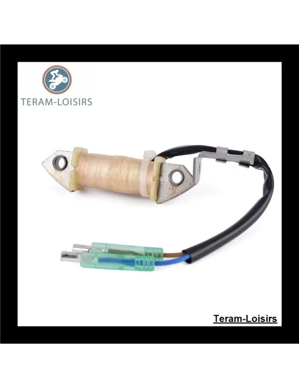 Usine Directe Stator Alternateur pour Yamaha 9.9 HP F9.9 MS / LH à partir de 2005