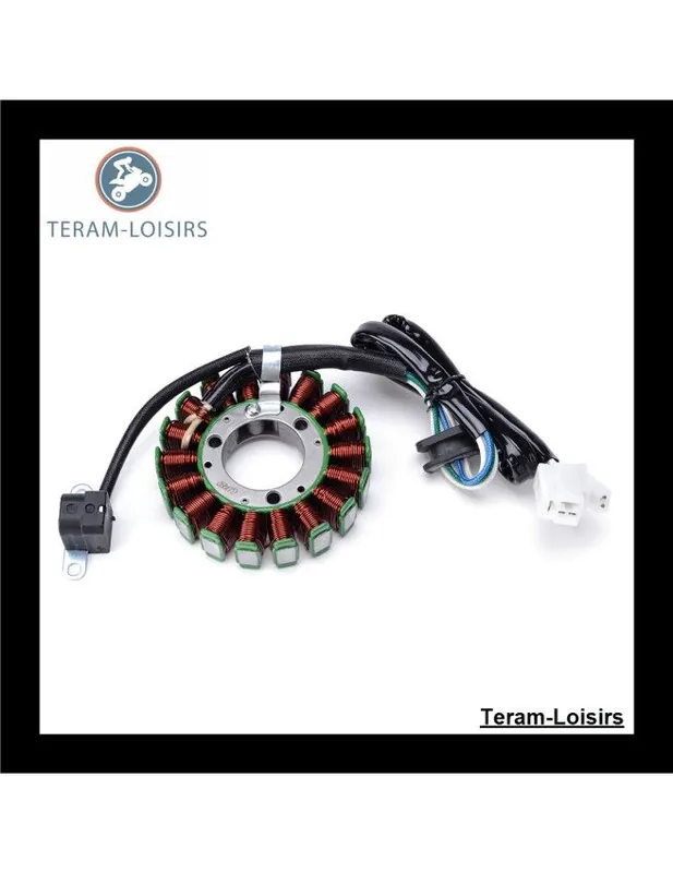 Stator Alternateur pour Yamaha TT 250 R TT-R de 1993 1994 1995 1996 1997 1998 1999 2000 2001 2002 2003 2004 Prix Réduit