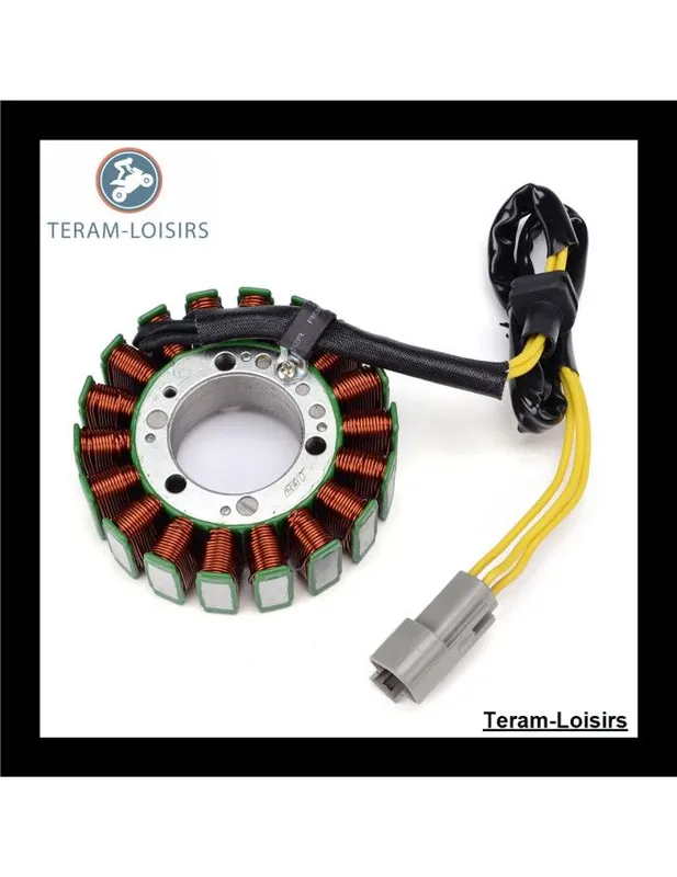 Stator Alternateur pour Sea-doo 260 RXP X de 2012 2013 2014 2015 Prix Promo
