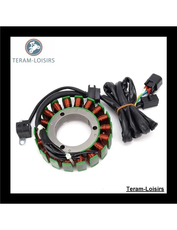 Achat Immédiat Stator pour Arctic Cat ATV 400 / 500 2X4 MANUAL TRANSMISSION de 1998 1999 2000 2001 2002