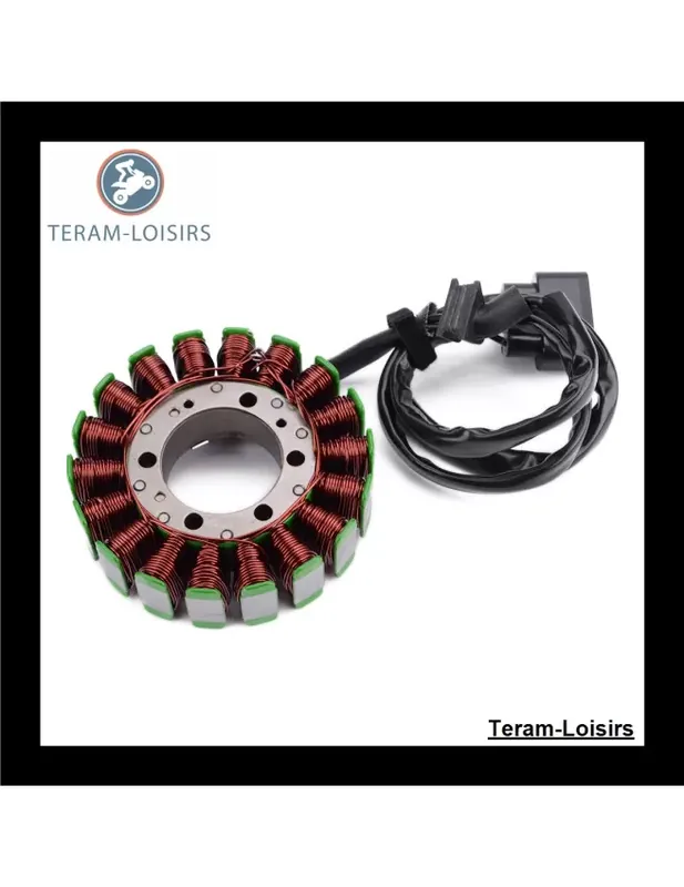 Stator Alternateur pour Honda CB 650 FA de 2014 2015 2016 2017 Livraison Express