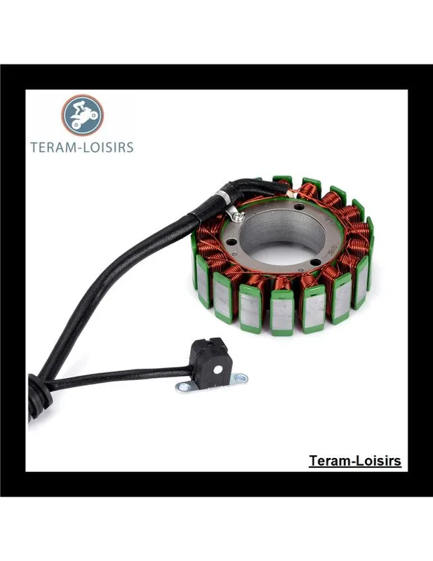 Usine Directe Stator Alternateur pour Yamaha Attak 1000 de 2006 2007