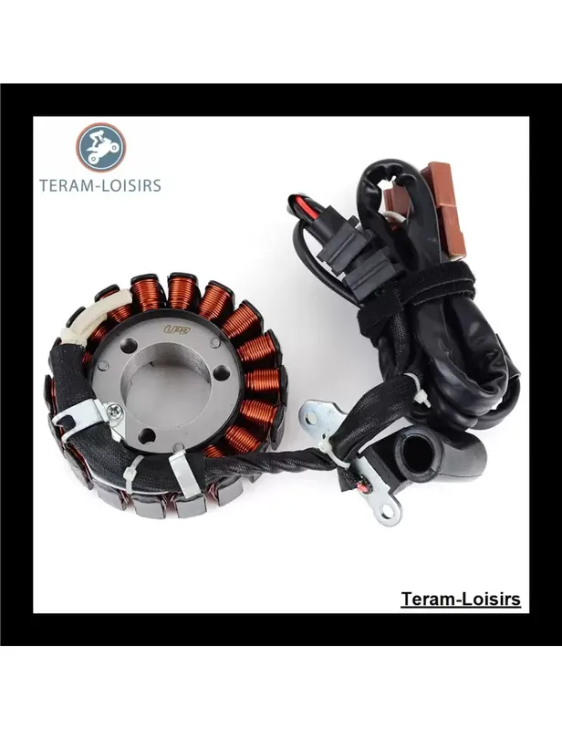 Achat Immédiat Stator pour Aprilia Atlantic 125 de 2006 2007 2008 2009 2010