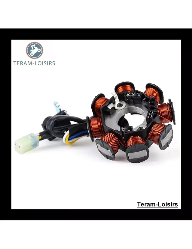 Marque Stator pour Kymco Mongoose 90 de 2007 2008 2009 2010 2011 2012 2013 2014 2015 2016 2017 2018