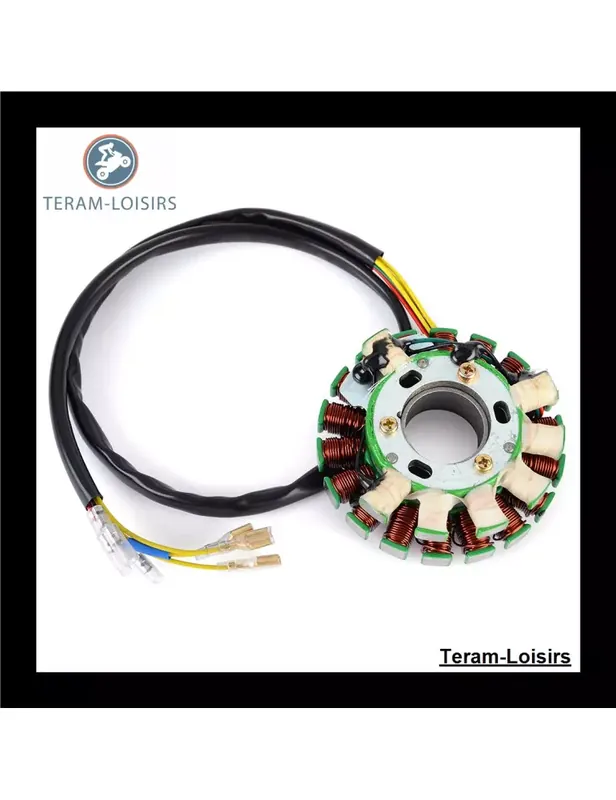 Livraison Express Stator pour Husaberg RM01193-R00
