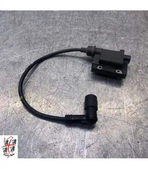 Bobine allumage PEUGEOT SATELIS 125 – 2010 Prix Bas