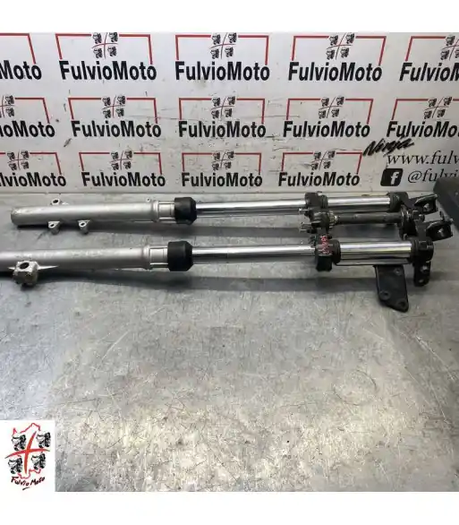 Quantité Limitée Fourche SUZUKI TSR 125