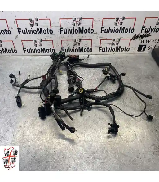 Seulement Aujourd&rsquo;hui Faisceau électrique TRIUMPH SPRINT RS 955 – 2005
