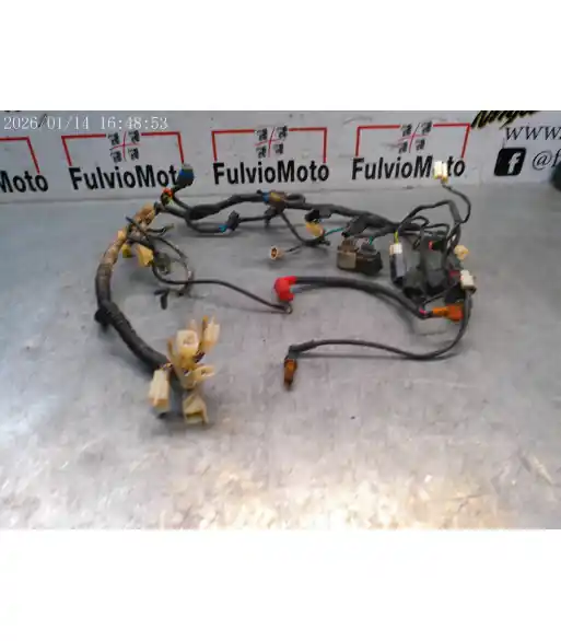 Faisceau électrique MASH QM GY 125 – 2019 Bon Marché