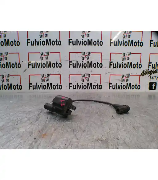 Bobine allumage DUCATI MONSTER 796 – 2012 Promotion