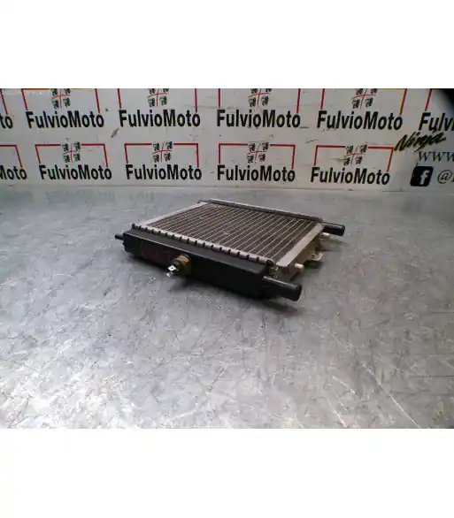 Radiateur d'eau satelis PEUGEOT 125 – 2010 Remise