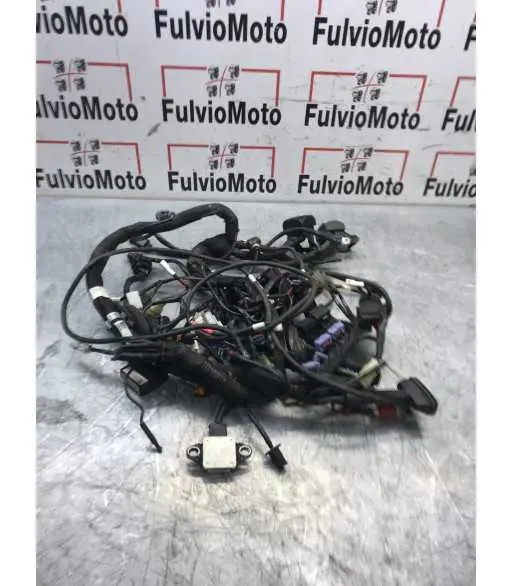 Faisceau électrique KTM DUKE 890 – 2021 Authentique