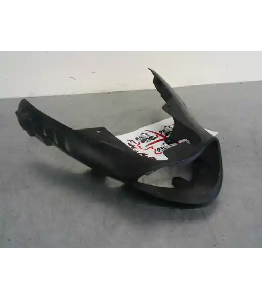 Entourage de phares – TRIUMPH SPEED TRIPLE 1050 – 2011 Quantité Limitée