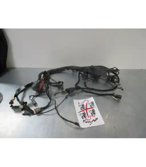 Offre Spéciale Faisceau électrique – HARLEY-DAVIDSON SPORTSTER 1200 – 2013