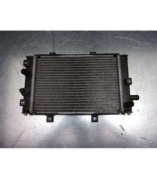 Radiateur d'eau – QUADRO S 350 – 2013 Expédition Rapide
