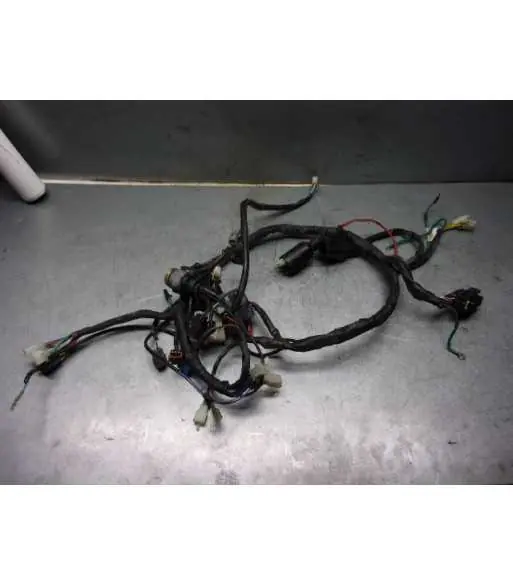 Pas Cher Faisceau électrique – DAELIM ROADSPORT 125 – 2009