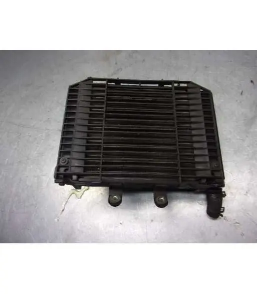 Promotion Radiateur d'eau – DAELIM ROADSPORT 125 – 2009