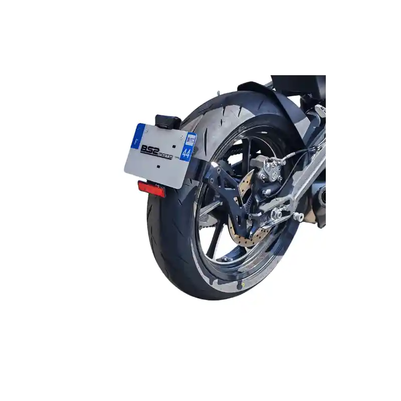 Support de Plaque Ras de Roue Valter QJMOTOR SRK 421 RR Bon Marché