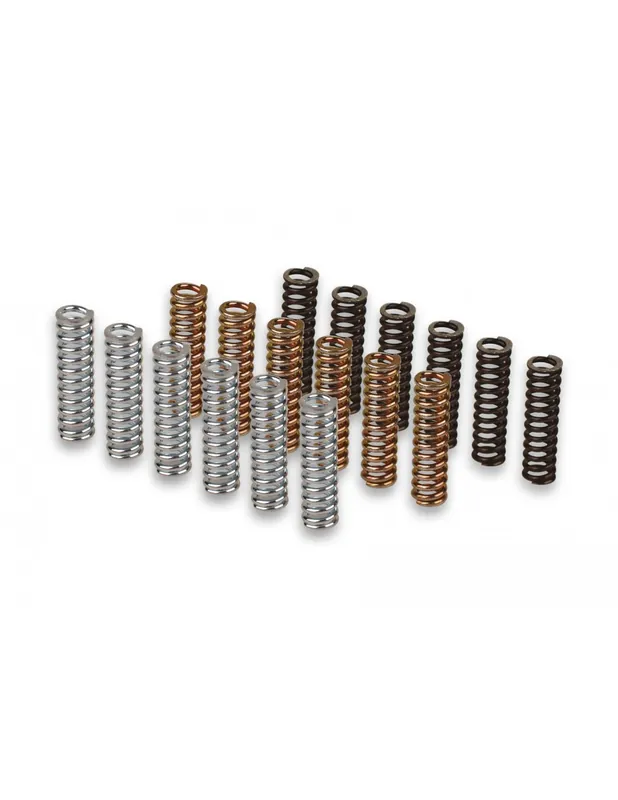 Ressorts d’embrayage racing Malossi Tmax 500 01-11 Vente Directe