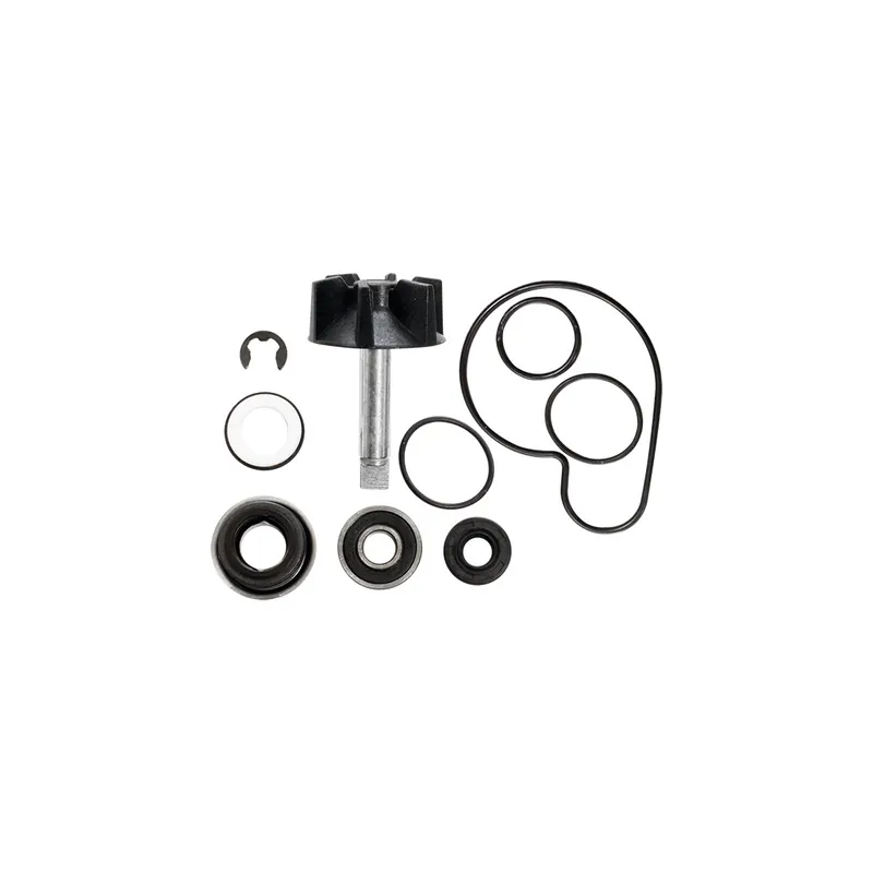 Offre Limitée Pompe a eau kit réparation Burgman 125 98-06