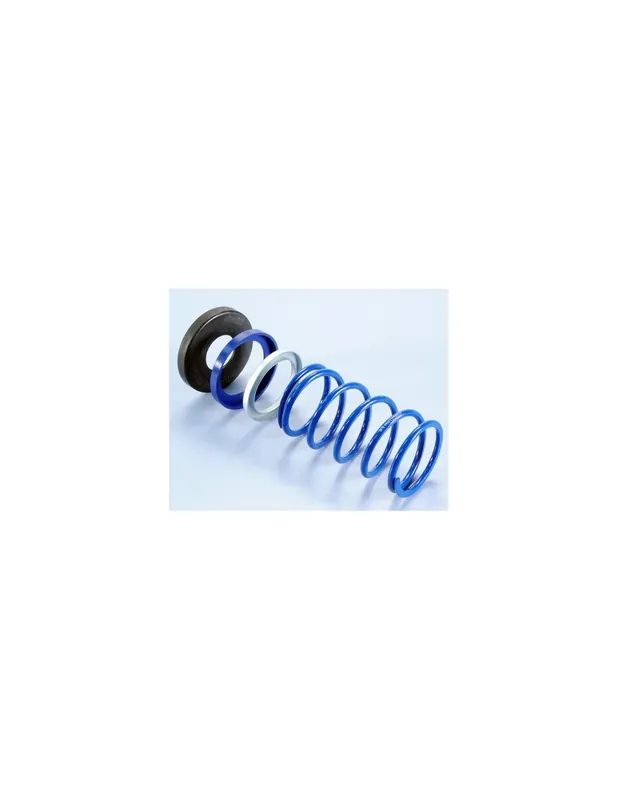 Ressort de contre variateur Polini EVO TMAX (+34%) Prix Réduit