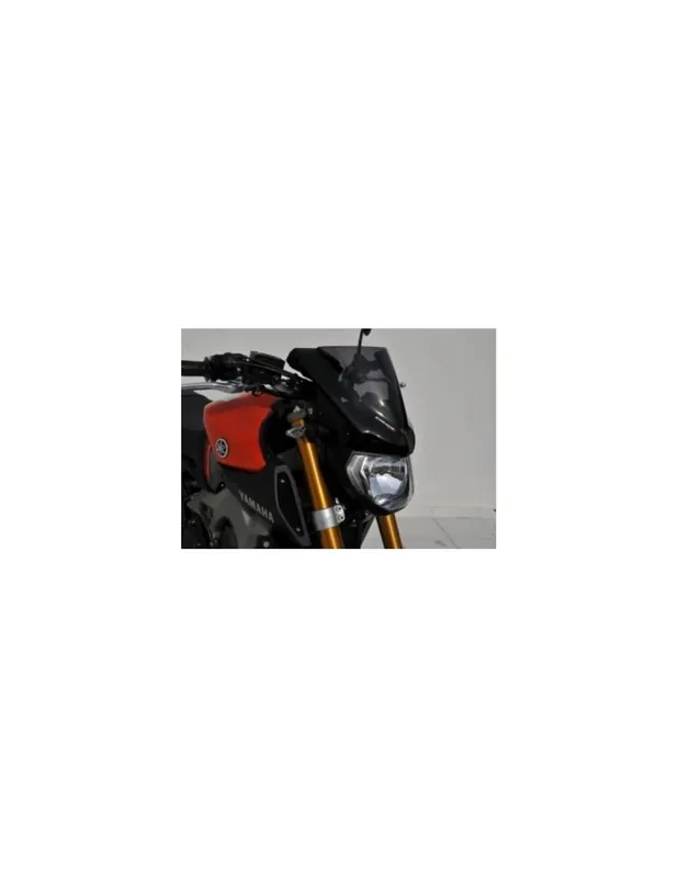 Offre Du Jour Saute vent sport Ermax 25 cm MT 09 Yamaha 13-16