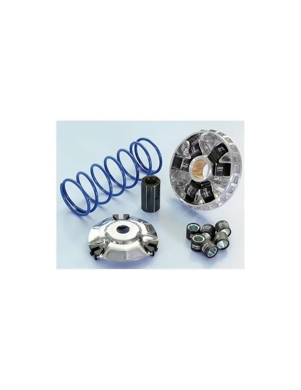 Variateur Polini SYM GTS 125 / HD Evo 125 Joymax Joyride 125 Orbit 125 Symphony SR 125 AIR Meilleur Prix