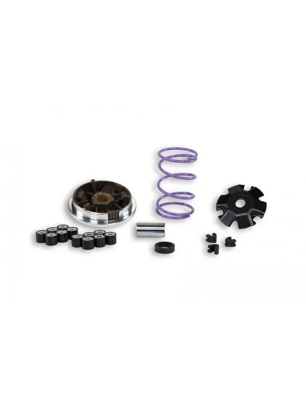 Variateur Malossi Piaggio Gilera 50 avant 2000 Typhoon NRG Zip Certifié