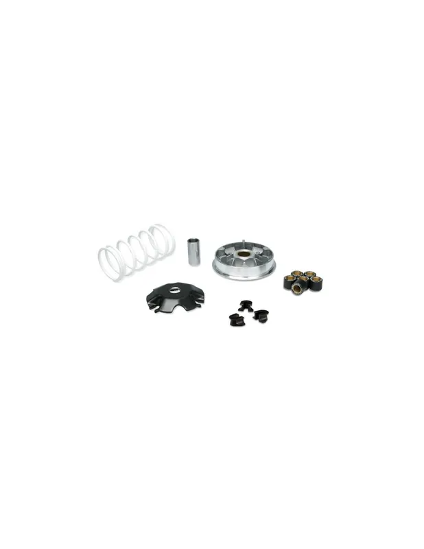 Variateur Malossi Honda Lead 110 4T euro-3 08-12 Retour Gratuit