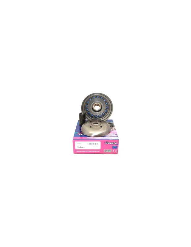 Variateur JCosta Pro Honda Silver Wing 600 SW-T 600 Prix Promo