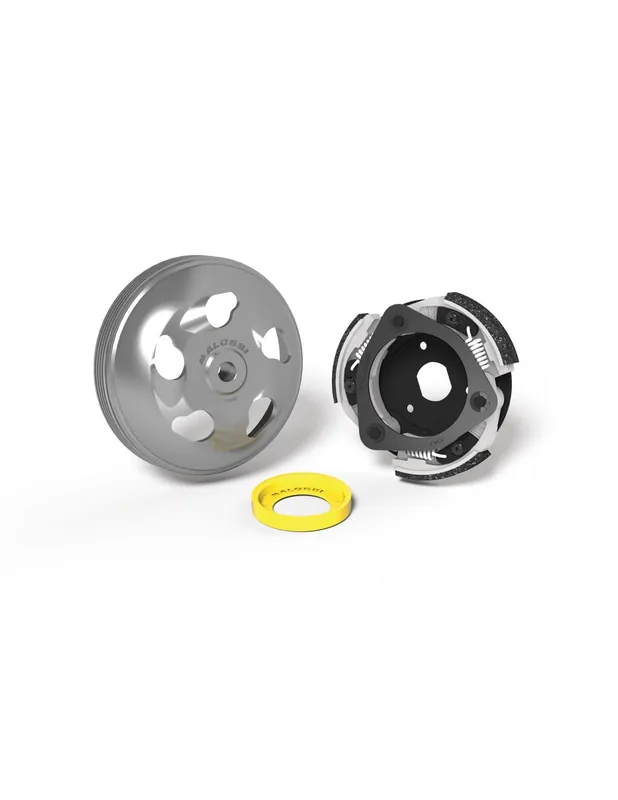 Haute Qualité Kit embrayage + cloche Malossi Delta Honda Forza 125