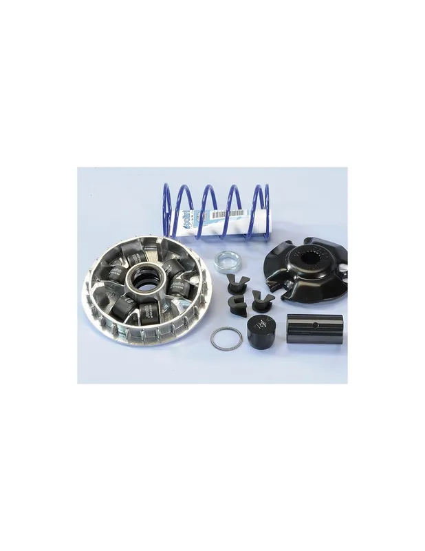 Variateur Polini Suzuki Burgman 125 02-21 Sixteen 125 08-11 Epicuro 125 Promotion Saisonnière
