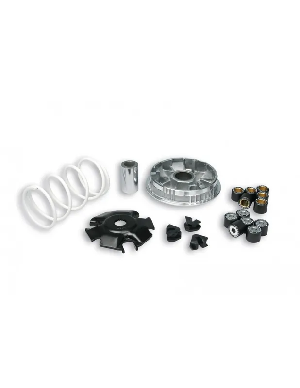 Variateur Malossi Multivar Aprilia SR Max 125 11-14 Promotion Saisonnière