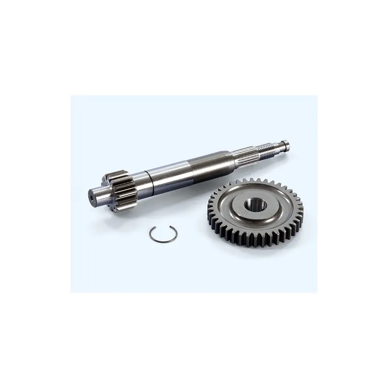 Commander Maintenant Transmission primaire Polini 14/39 ZIP 50 4t 3v 18-24