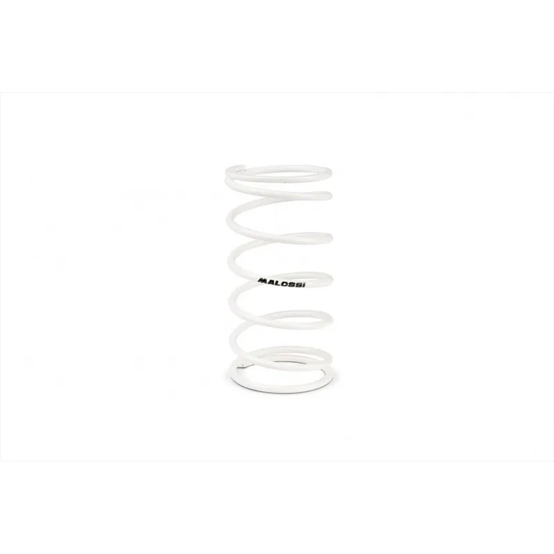 Acheter Direct Ressort de contre variateur Malossi Aprilia SXR 50 ie 4t