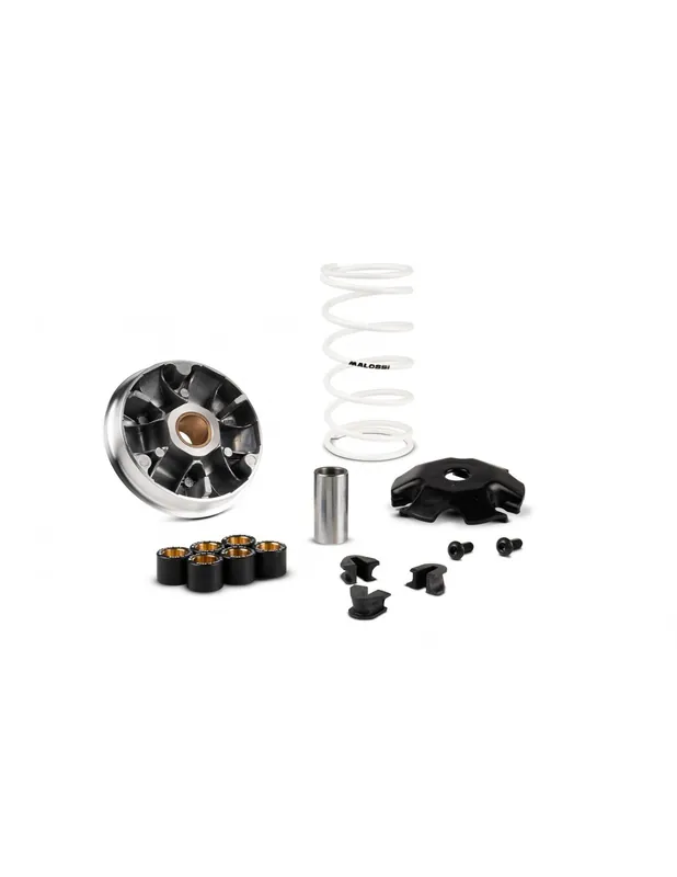 Variateur Malossi Honda Navi 110 4T 21-24 Nouvelle Collection