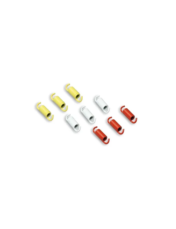 Seulement Aujourd&rsquo;hui Ressorts d’embrayage Malossi Kymco DT-X 360 350 21-24 (pour embr. origine)