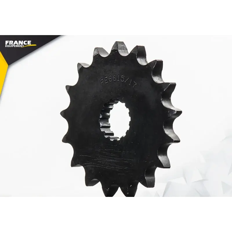 Vente Directe Pignon 17 dents pour chaine 428 – France Equipement 3209.E615.17