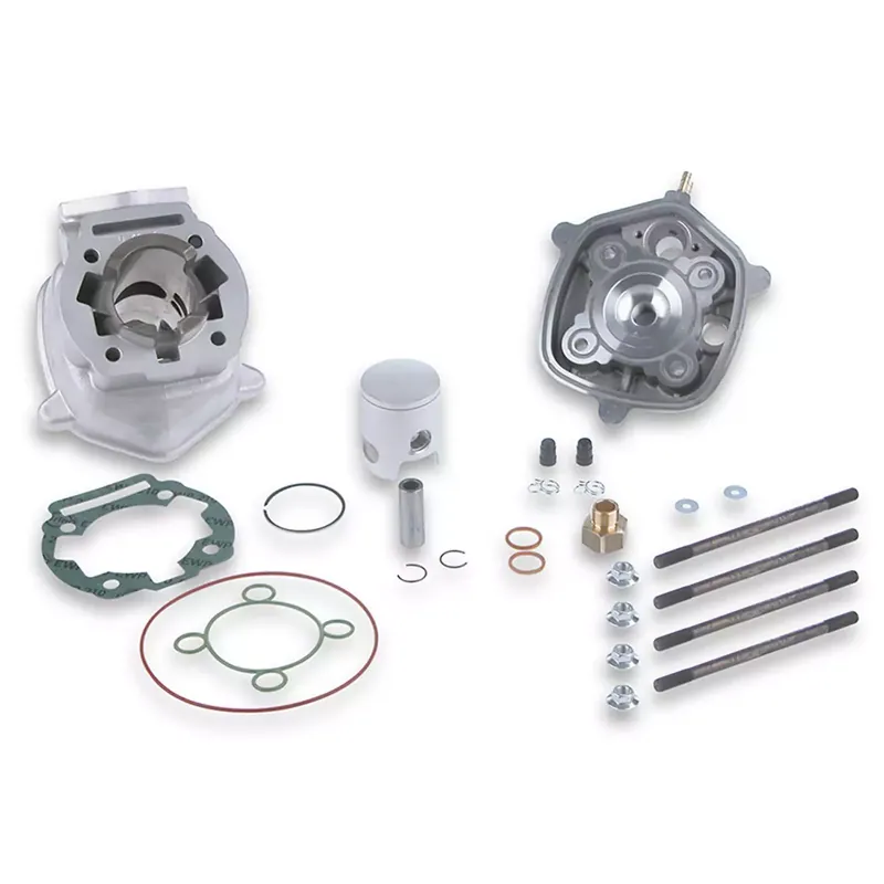 Kit Cylindre 50cc DERBI E3 E4 - MALOSSI MHR Replica Alu Meilleur Choix