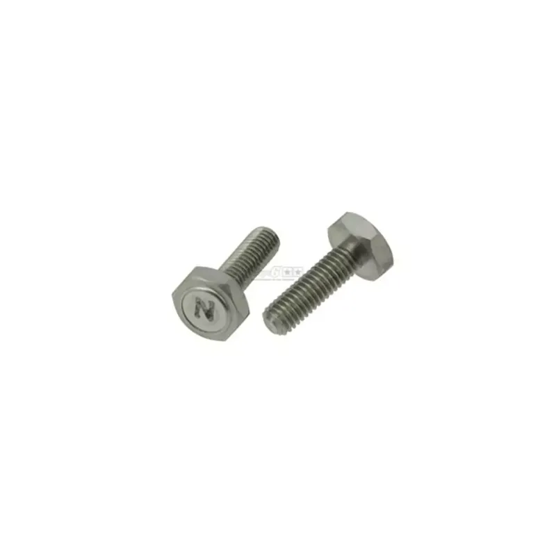 Satisfait Ou Remboursé Vis magnétique / aimant de compteur – Stage6 6 x 1.00 / 19.7mm